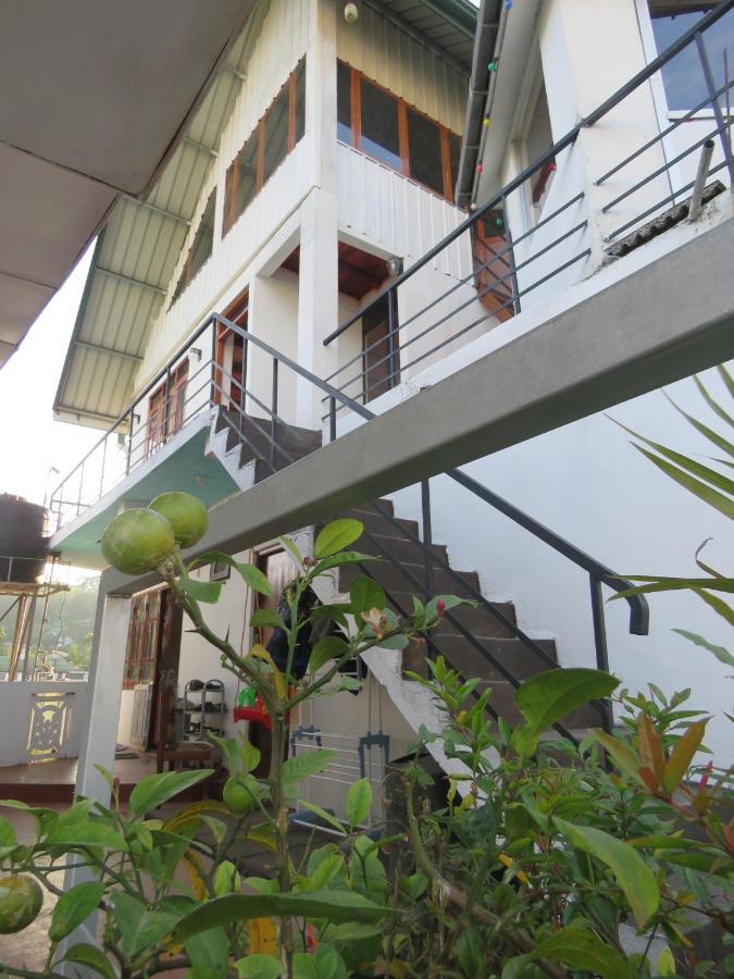 Dream Hill Homestay Нувара-Елія Екстер'єр фото